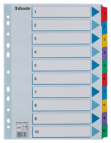 Esselte Registre Mylar carton A4 1-10