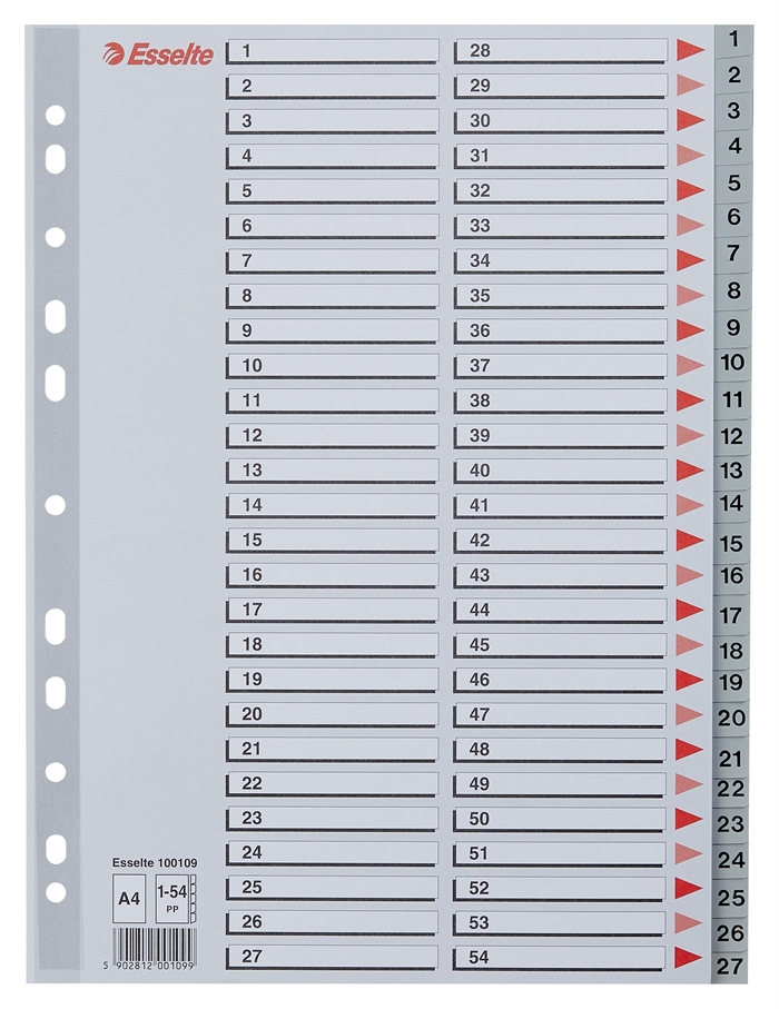 Esselte Register PP A4 1-54 gris