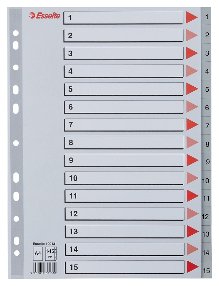 Esselte Register PP A4 1-15 gris