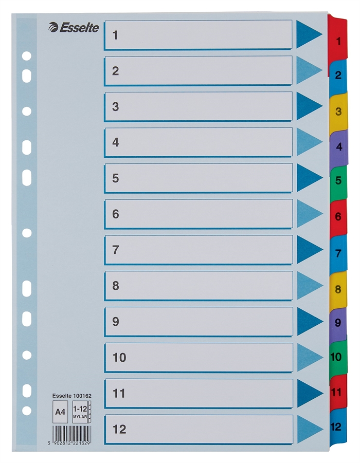 Esselte Register Mylar carton A4 1-12