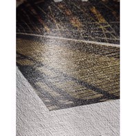 Hahnemühle Canvas Metallic 350 g/m² - 17" x 12 mètres