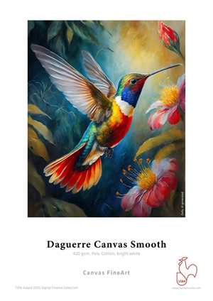 Hahnemühle Daguerre Canvas Lisse 420 g/m² - 44" x 12 mètres